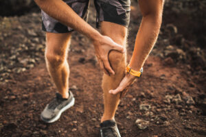 What Is the Anatomy of Your Limbs?